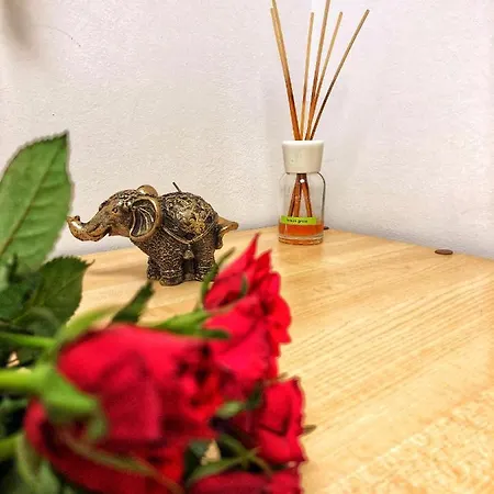 Apartman Lucky Star Mamaia Nord